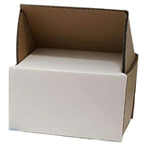 Smash Proof Mug Boxes - Single